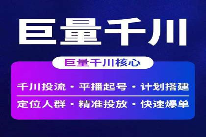 行业专家解析SEM代运营成功案例